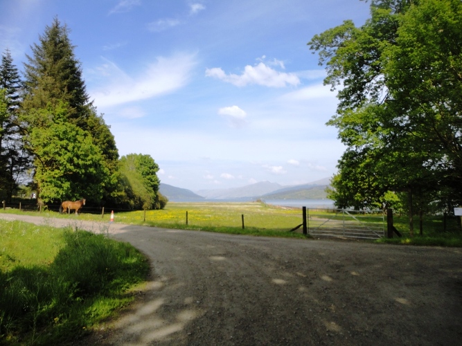 Loch Fyne horse riding