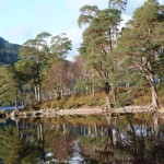 Loch Eck