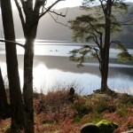 Kayaking on Loch Eck