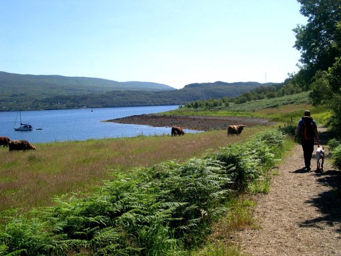Walk along Loch Goil